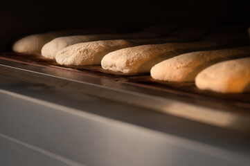 Close-up Batch of fresh buns of artisan bread baked in an oven in cooking and eating concept