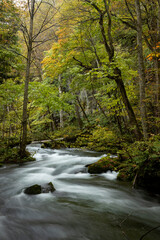 色づき始めの奥入瀬渓谷