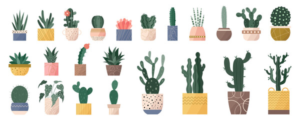 Trendy set of home cute cacti plants in flowerpots pack icons. Collection of mini cacti succulent plants and tall home decor cactus in pots modern illustrations. Flat cartoon swiss trend graphic style - obrazy, fototapety, plakaty