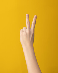 Female hand gesture shows two fingers index and middle on yellow background isolated