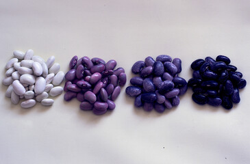 Colorful beans healthy vegetarian food protein trendy purple color
