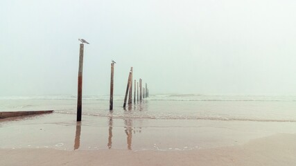 Foggy sunrise at the new Smyrna Beach