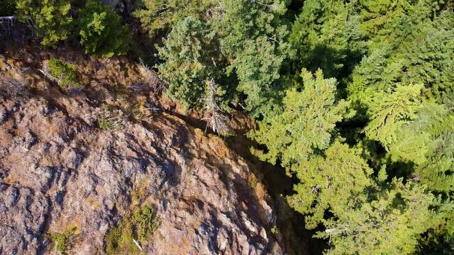 Wesley Ridge Mountain on Vancouver Island Canada