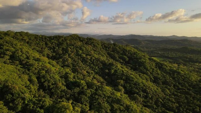 Fast backwards flight over the magnificent jungle of central America. Lush and vast mountainous landscape captured from above. 4k aerial footage of contrast rich rainforest underneath colourful sky.