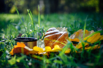 Sweet sugar bun and thermo cup with hot beverage, close-up. Picnic on autumn grass without garbage and environmental pollution. Concept of waste-free lifestyle.