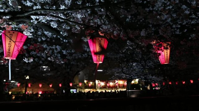 Japanese Lantern