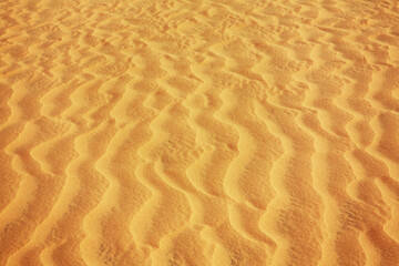 Dunes near Mui Ne. Vietnam
