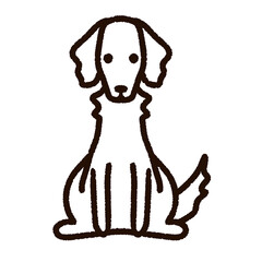 かわいいボルゾイ　白