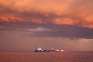 Landscape near Limassol. Cyprus