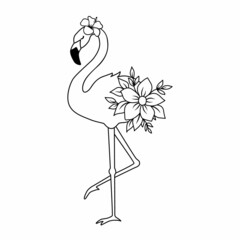 Vector illustration of flamingo isolated on white. Line silhouette of tropical bird standing on one leg. Outline floral flamingo with flowers © Elena