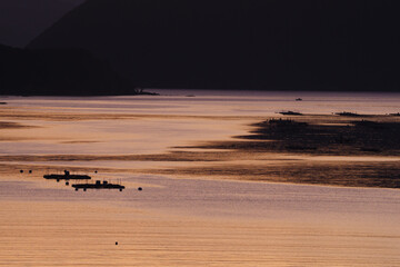 養殖筏が浮かぶ湾の夕景