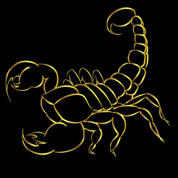 Golden Scorpion tattoo border on black background- ornate gold scorpion image, sign horoscope