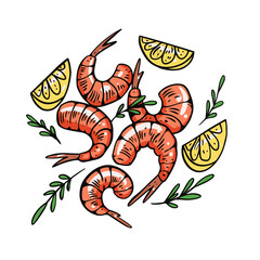 Shrimps hand drawn colorful realistic vector illustration.
