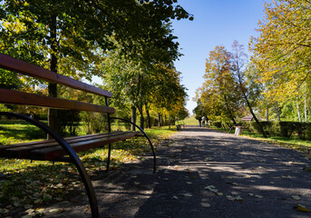 Bench in the autumn city park in the shade from the rays of the autumn sun.
