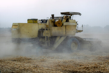 wheat crop in India and Pakistan , wheat harvesting with hand and combine harvester in Asia