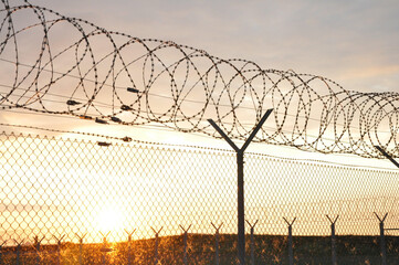 barbed wire fence