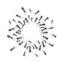 A colony of ants gathers in a circle. A group of insects around a place for a text. Vector