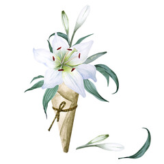 Bouquet of white lilies in craft paper cornet, isolated on white background. Hand drawn watercolor.