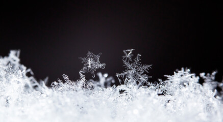 Beautiful ice crystal lies in the snow, Christmas And Winter Background