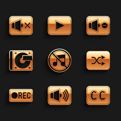 Set Speaker mute, volume, Subtitles, Arrow shuffle, Record button, Vinyl player with vinyl disk, and icon. Vector