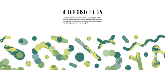 Microbiology, bacteriology. Bacteria, microorganism: coccus, bifidobacterium, clostridium, streptococcus, staphylococcus, spirillum, corynebacterium, spirochete. Vector flat cartoon banner