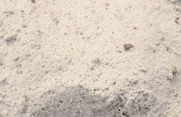 white sand after rain. raindrop dimpled sand texture