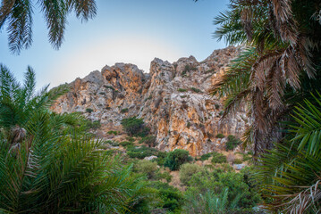 Fototapeta na wymiar View of the mountains and blue sky among the palm trees, Preveli, Crete, Greece