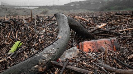 Obraz premium basura en la playa tras un temporal