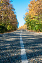 Fototapeta premium White solid line markings on a country road. Along the edges of the road are yellow-green trees. In the background is a blue sky. Travel concept
