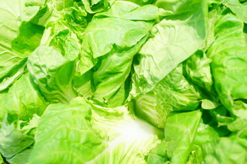Close up of cabbage