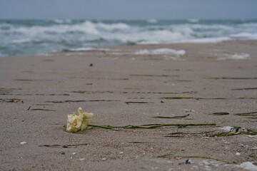 Obraz premium Fischland Darß No People Natur Outdoor