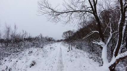 winter landscape near the river