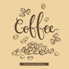 Detailed hand-drawn sketch of coffee beans and lettering