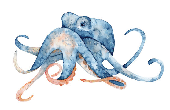 Watercolor hand drawn illustration of octopus in blue color isolated on white background, marine life