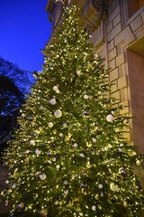 Sapin de Noël étincelant