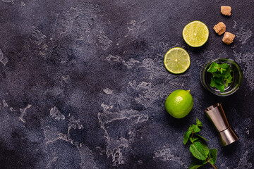 Fresh tasty ingrediens for delicious mojito cocktail
