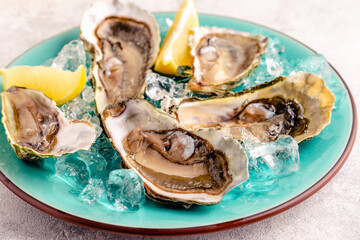 Opened fresh oysters on a blue plate, served with lemon and ice.