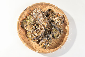 Fototapeta na wymiar 産地直送の獲れたての生ガキ　冬の高級食材の牡蠣