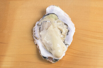 産地直送の獲れたての生ガキのむき身　冬の高級食材の牡蠣