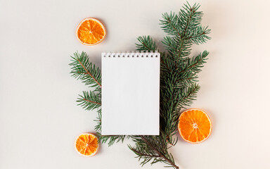Christmas trendy composition with blank open notebook, fir branches, dried orange on white...