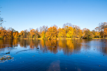 View of city park in autumn
