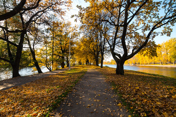 Fototapeta na wymiar View of city park in autumn