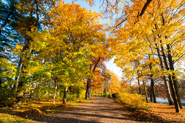 View of city park in autumn