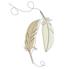 Naklejka premium bird feathers drawing sketch, vector, isolated