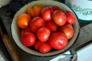 Fresh and tasty BIO tomato, rural background