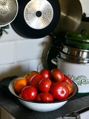 Fresh and tasty BIO tomato, rural background