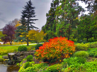 Obraz premium autumn in the park
