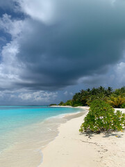 A day in the Maldives. View of the Indian Ocean coastline with white sand, azure water, bush and palm trees