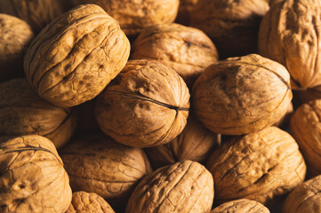 background with organic walnut in shell