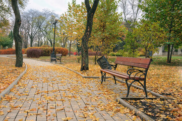 Park alley in autumn city park. Benches in the park alley